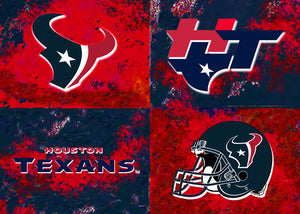 houston texans logo